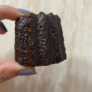 커피폴 사진