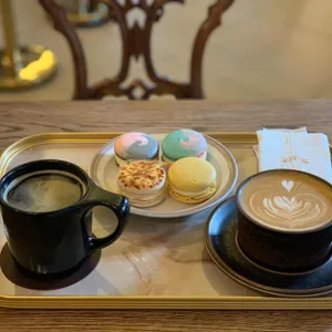 비올라 사진