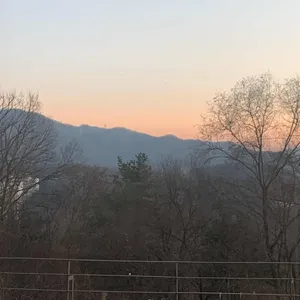 써라운드 리뷰 사진