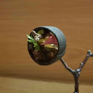 에빗 리뷰 사진