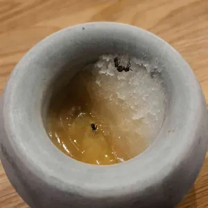 에빗 사진