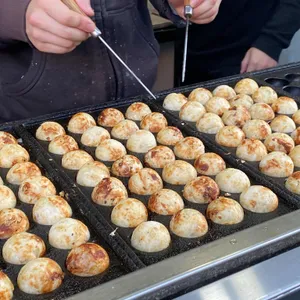 타코비 사진