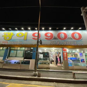 광어1마리9900 리뷰 사진