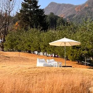 나무아래오후 리뷰 사진