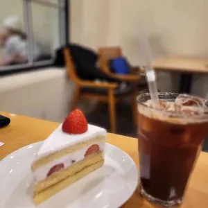 스노브 사진