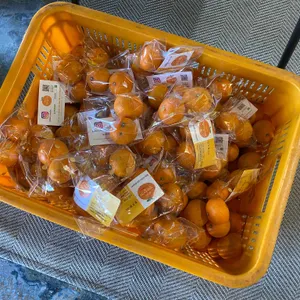 김녕미항 사진