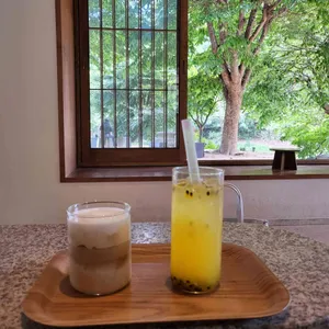 교토리 사진