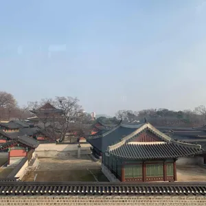 회화나무 리뷰 사진