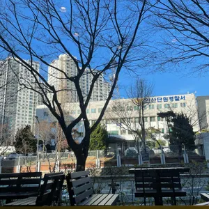 376bakery cafe 리뷰 사진
