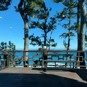 나이프 리뷰 사진