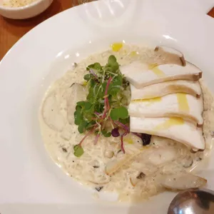 오캄 사진