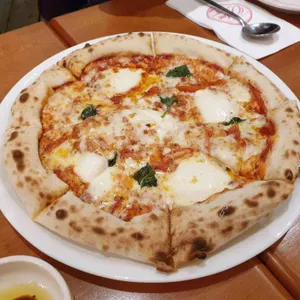 오캄 사진