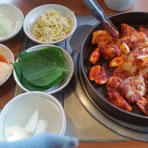 조가네갑오징어 사진