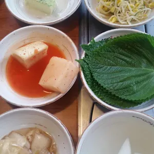 조가네갑오징어 사진