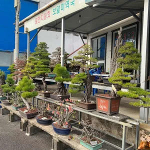 바다나라 리뷰 사진