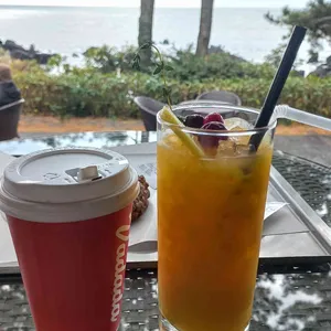 바다다 사진