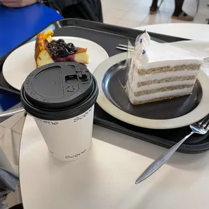 쎈느 사진