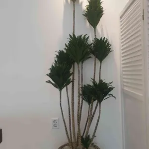 이선옥 청담떡방 리뷰 사진