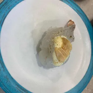 스시선 사진