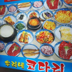 우리네코다리 사진
