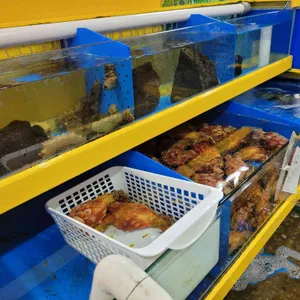 광어생각 리뷰 사진