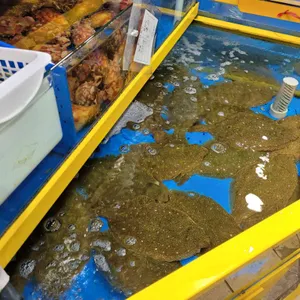 광어생각 리뷰 사진