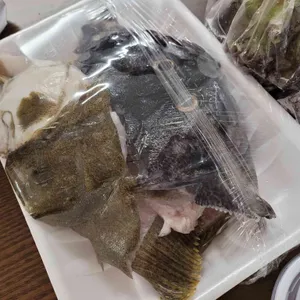 광어생각 사진