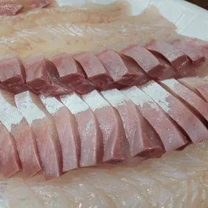 광어생각 사진