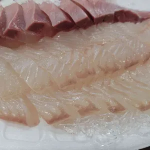 광어생각 사진