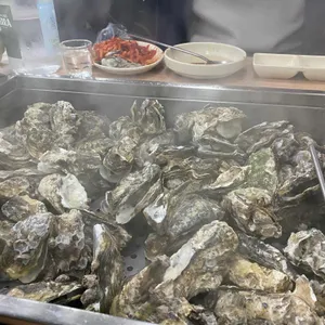 굴사냥 사진