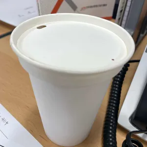 아담 사진