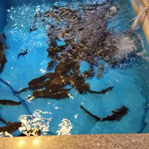 반구정 나루터집 리뷰 사진