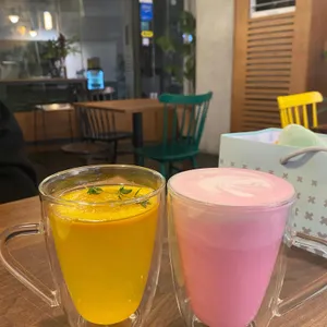 시트롱 사진