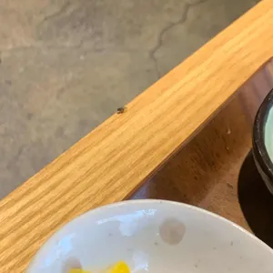 멘야미코 사진