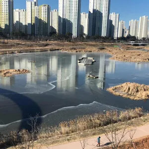 로쏘폴라레 리뷰 사진