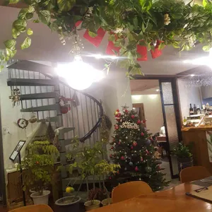 오라 리뷰 사진