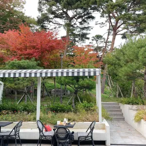 몽유도원 도이창 대표 사진