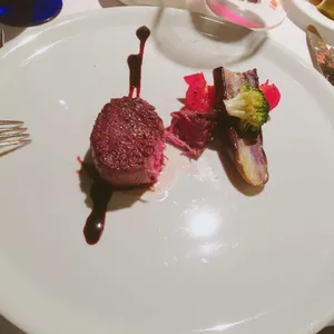 디토 사진