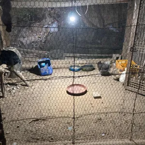 약수촌 리뷰 사진