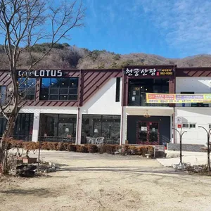 카페 로투스 리뷰 사진