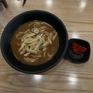 아비꼬 사진
