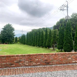 오퐁드부아 리뷰 사진