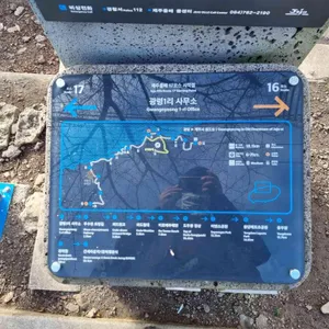 SKY31푸드에비뉴 리뷰 사진