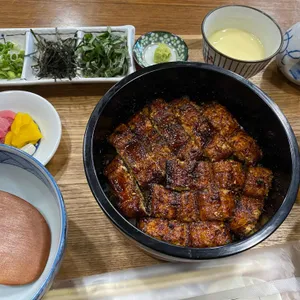 서설 사진