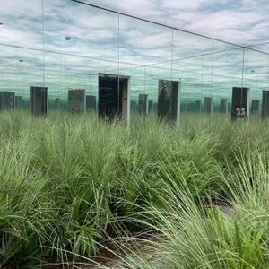 슬로우그라운드 리뷰 사진