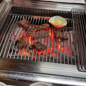 대가 사진