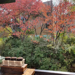 샘터마루 리뷰 사진