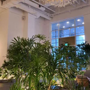 젬스톤 리뷰 사진