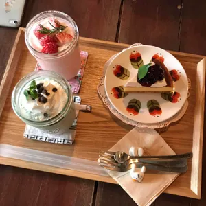 목련을부탁해 사진