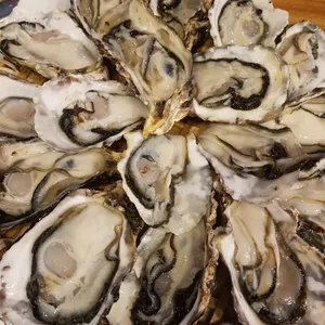 머구리포차 리뷰 사진